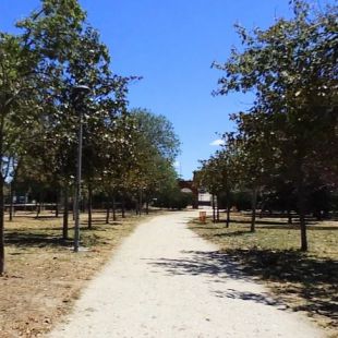 El Soto no se toca: los vecinos, contra 'Amanecer Bailando'