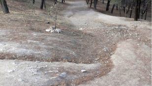 Remodelación del Parque Sur, Nuestra Señora de Valvanera y la colonia Loyola