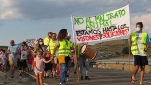 Casi un centenar de personas, contra la granja de visones