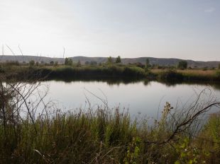 De pronto, una laguna: Madrid tendrá nuevo humedal en 2019