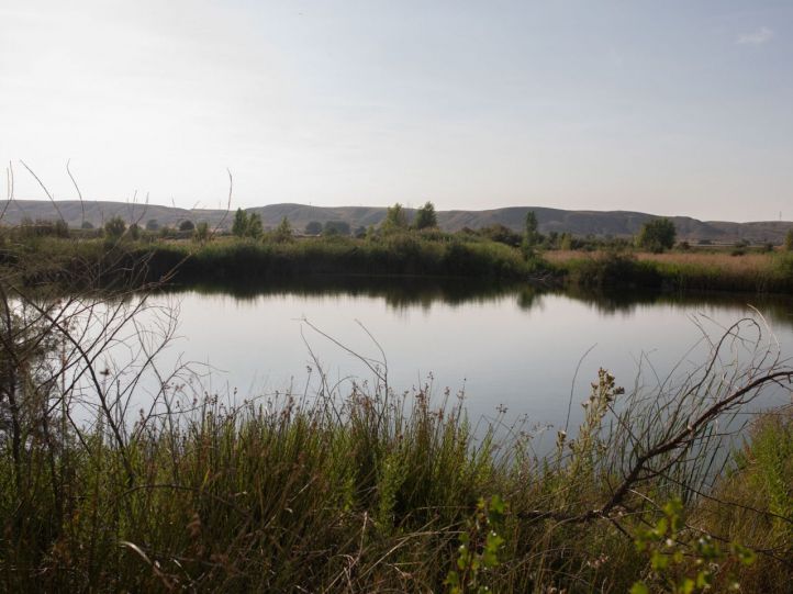 La multinacional quiere que la nueva laguna esté lista en primavera.