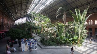 Atocha tapia el estanque y se abre a alquilar el suelo