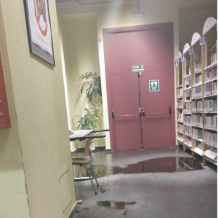 La biblioteca de la 'Complu' cierra hasta el miércoles por goteras