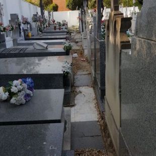 Tumbas abiertas y ataúdes rotos: el PP denuncia el estado del cementerio