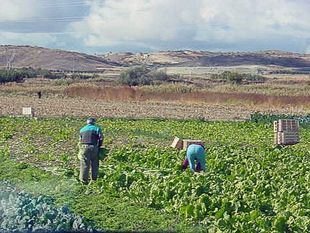 Dos años de tarifa plana para autónomos de un centenar de municipios madrileños