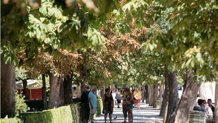 Medidas para reducir el impacto de especies invasoras