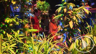 Un jardín colaborativo puebla Conde Duque