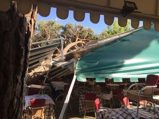 Un árbol aplasta la carpa de un restaurante sin causar heridos