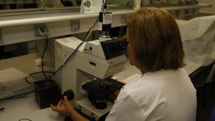 Más de 50 millones en ayudas a investigadores y empresas innovadoras de la región