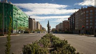 Jardineras centrales de la avenida del Ensanche de Vallecas.