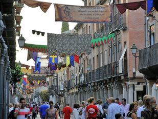 Muere por un cólico un dromedario en el Mercado Cervantino de Alcalá