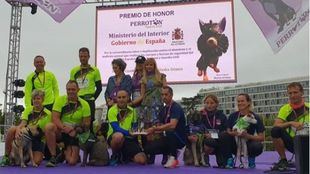 Perrotón: más de 4.000 personas corren contra el abandono de animales
