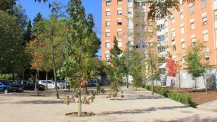 La rehabilitación de las zonas verdes de Ciudad Pegaso finalizará en diciembre