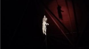 Cadáver del felino hallado en Villa de Vallecas.