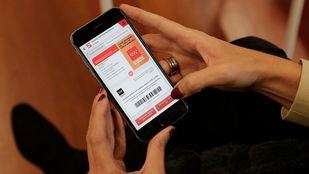 Familias numerosas 2.0: una app para digitalizar ayudas y descuentos