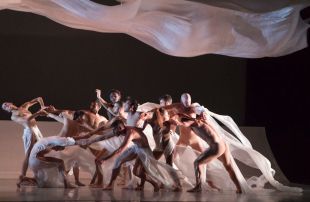 Solstice: Blanca Li defiende el medio ambiente