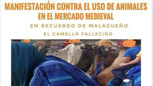 Alcalá se manifestará este domingo por un Mercado Cervantino sin animales