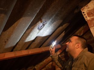 Sin recursos para retirar el amianto, los tejados de San Pascual "se deshacen"