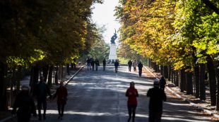 Se restaurará la Montaña de los Gatos y el Paseo de México recuperará su vegetación