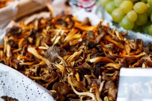 Las seis falsas creencias sobre las setas tóxicas