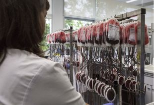 Llamada urgente a donantes: se necesita sangre tipo B-