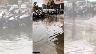 El agua de Colón le vuelve al Ayuntamiento: Canal señala a las hojas como el problema