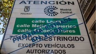 Garrido presentará este miércoles dos recursos contra Madrid Central