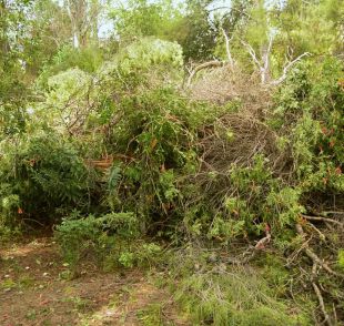 El viento causa estragos en el eje de la A-6