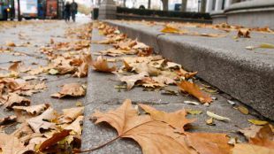 ¿Por qué se acumulan las hojas en Madrid?