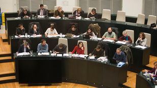 Madrid Central y Valdemingómez protagonizan el pleno municipal