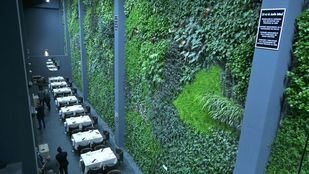 Alcorcón alberga el jardín vertical interior más grande de Europa