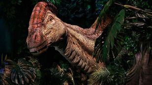 Un paseo por el mundo del Jurásico sin salir de Madrid
