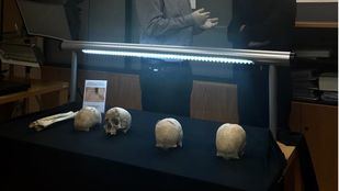 Los 94 cadáveres medievales de Atocha, en el Arqueológico