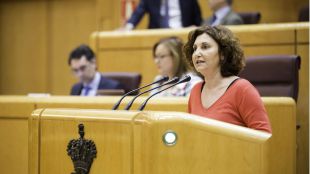 Pilar Garrido sustituirá a Ramón Espinar en el Senado
