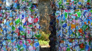 ¿Qué plásticos son reciclables?