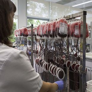 En alerta roja la sangre de los grupos 0-, A- y B+