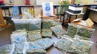 Desmantelada una organización china dedicada al cultivo de marihuana