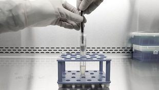 Madrid arranca un tratamiento celular pionero para pacientes con lesión medular