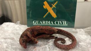 Detenida en Barajas con animales muertos dentro de su maleta