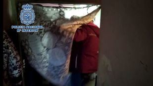 Los arrestados utilizaban distintos domicilios, dos en la localidad madrileña de Alcalá de Henares y otros dos situados en los distritos de San Blas y Fuencarral de la capital.
