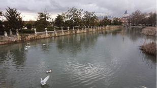 El río Tajo a su paso por Aranjuez.