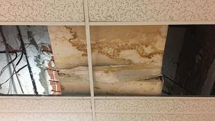 Escapes de aguas fecales en los juzgados de Primera Instancia de Madrid