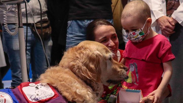 Mediante visitas semanales de dos horas, los niños pueden disfrutar de la compañía de Zenit.