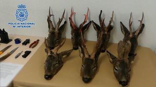 Uno de los detenidos intentó ocultar la mochila que llevaba bajo uno de los vehículos que se encontraban aparcados en la vía pública, donde los agentes encontraron siete cabezas de corzo y material de caza.
