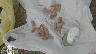 Identificado el sospechoso de dejar salchichas con alfileres y cristales en un parque