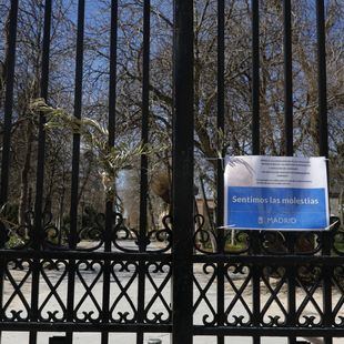 Madrid endurece el protocolo de cierre de El Retiro los días de fuertes vientos