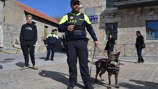 La Policía Local de Collado Villalba ya cuenta con una Unidad Canina.