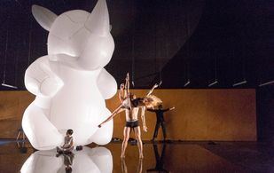 El último rinoceronte blanco, en teatros del Canal