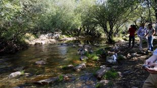 Talleres y rutas gratuitas para conocer la naturaleza de Madrid