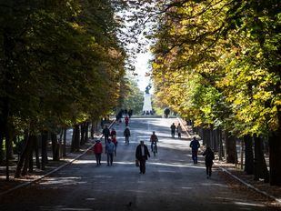 Reabre el Parque del Retiro tras la revisión del arbolado
